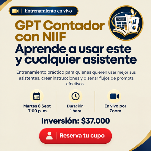 Gpt contador con NIIF